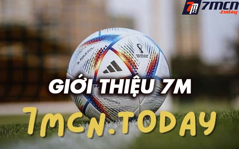 Giới thiệu myphambachtien.com